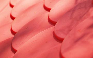 Gwavas plastic roof costs